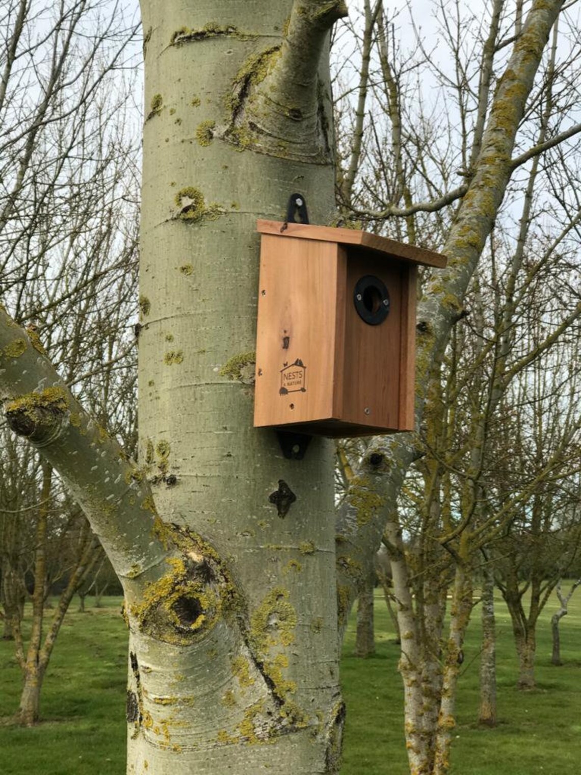 Bird House Hanger Bracket Nest Box Mounting Bird Box Fixture Etsy