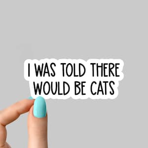 dijo que habría pegatina de gatos, pegatina de mamá gato, pegatinas divertidas de mamá gato, pegatinas de amantes de los gatos, pegatinas de vaso, pegatina de botella de agua
