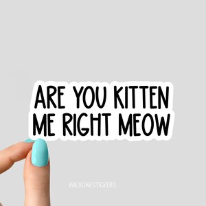 Sticker miaou, chaton, maman chat, stickers maman chat rigolo, stickers amoureux des chats, stickers gobelet, sticker bouteille d'eau