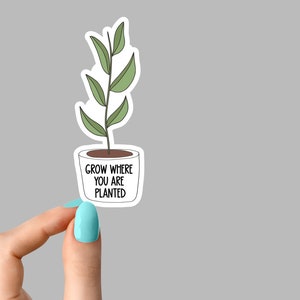 crece donde estás plantado pegatina, plantas en macetas pegatinas de plantación suculentas, pegatinas de vida vegetal plantas pegatinas de portátiles, pegatinas de plantas