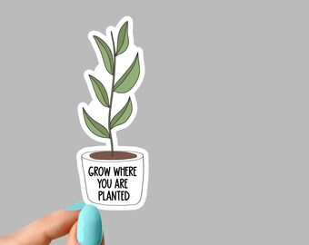Sprout Where You/'re Planted Sticker