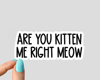 ¿Eres gatito conmigo? Pegatina de maullido, pegatina de mamá gato, pegatinas divertidas de mamá gato, pegatinas de amante de los gatos, pegatinas de vaso, pegatina de botella de agua