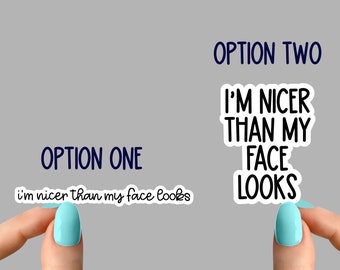 i&#39;m nicer than my face looks sticker, sarcasm stickers, laptop stickers, water bottle decals, tumbler stickers