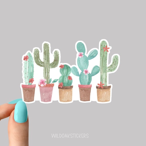 Cactus Vinyl Sticker Water Bottle & Laptop Sticker Etsy