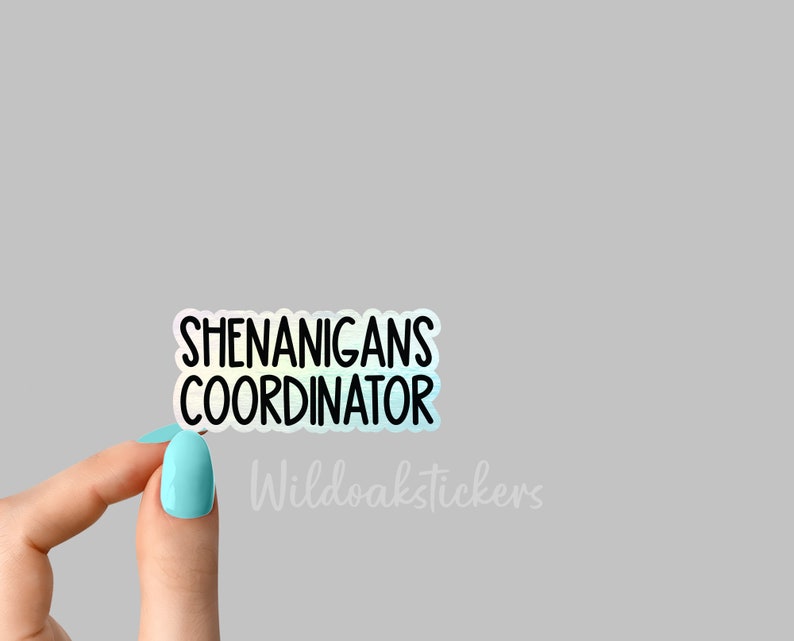 May include: A white sticker with the words "SHENANIGANS COORDINATOR" in a black, bold font. The sticker has a light blue and yellow gradient border. The Wildoakstickers logo is visible in the bottom right corner.