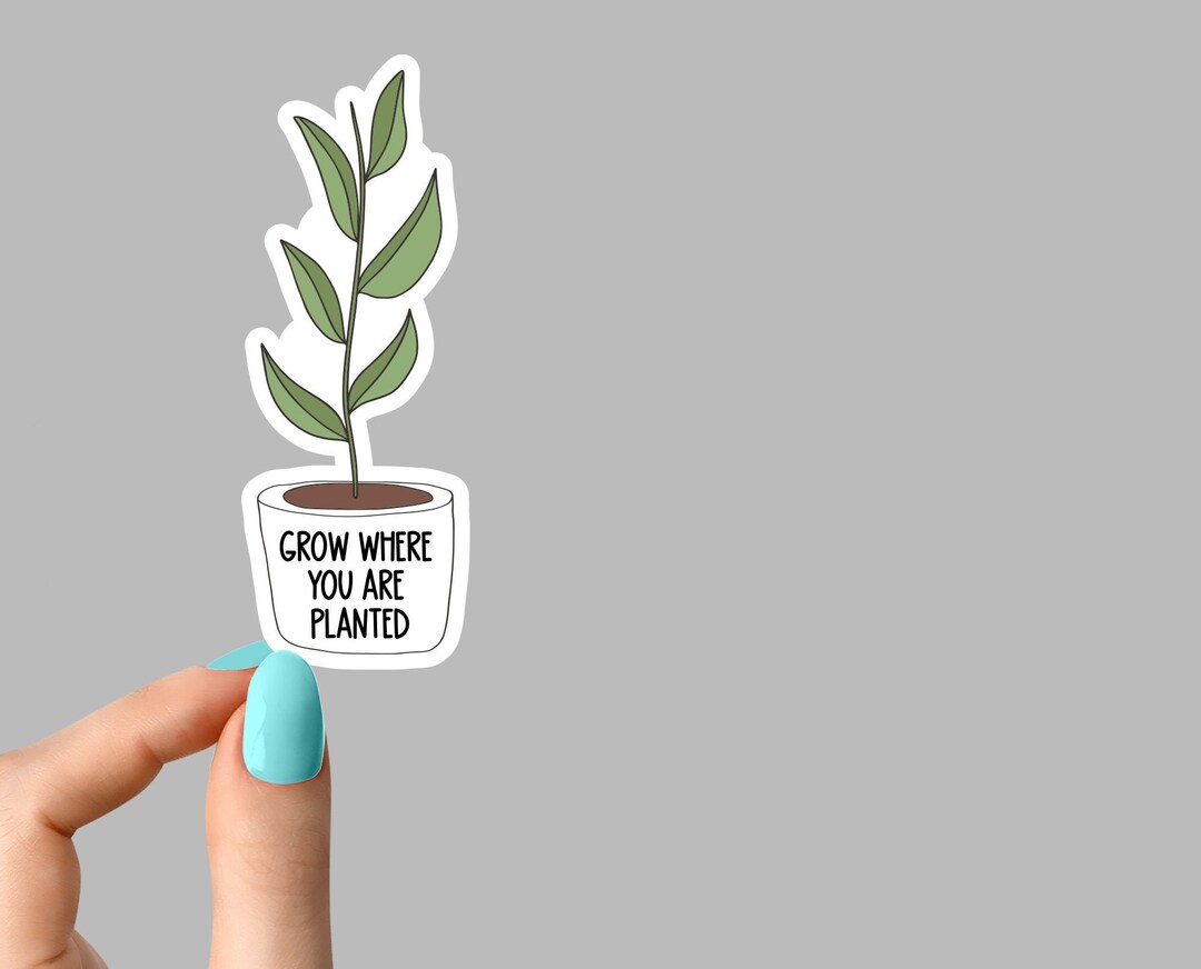 Grow Where You Are Planted Sticker Potted Plants Succulent Etsy