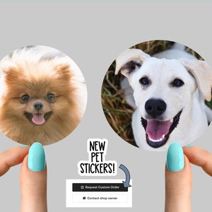 NEW custom pet stickers, custom stickers made by you, custom animal stickers, custom cat stickers, custom dog sticker, custom animal sticker