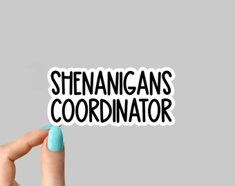 shenanigan coordinator laptop stickers, Irish stickers, funny sticker, sarcasm sticker, shenanigan holographic sticker, water bottle sticker