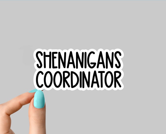 shenanigan coordinator laptop stickers, Irish stickers, funny sticker, sarcasm sticker, shenanigan holographic sticker, water bottle sticker