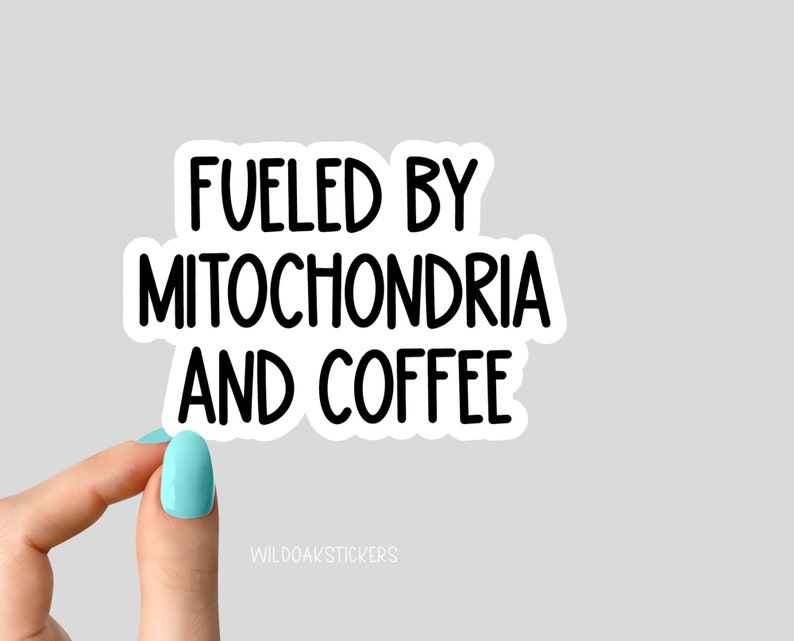 fueled by mitochondria and coffee sticker, funny science laptop decals, water bottle stickers, science stickers, biology stickers decals image 1