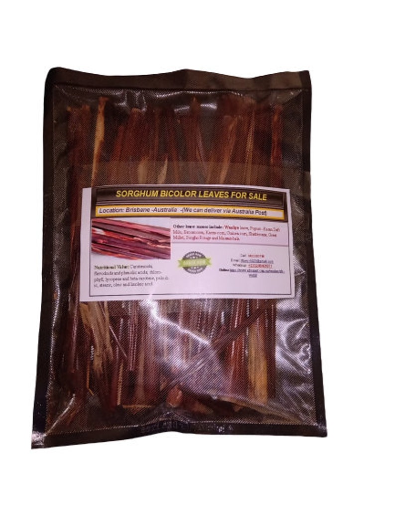 Bicolor Leaves / Waakye / Millet Leaves Etsy