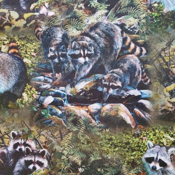 Masked Bandits, Cotton Fabric by Janene Grende for Springs Creative. Raccoons in Woodsy Settings. By the Half Yard. 18" long x 43" wide.