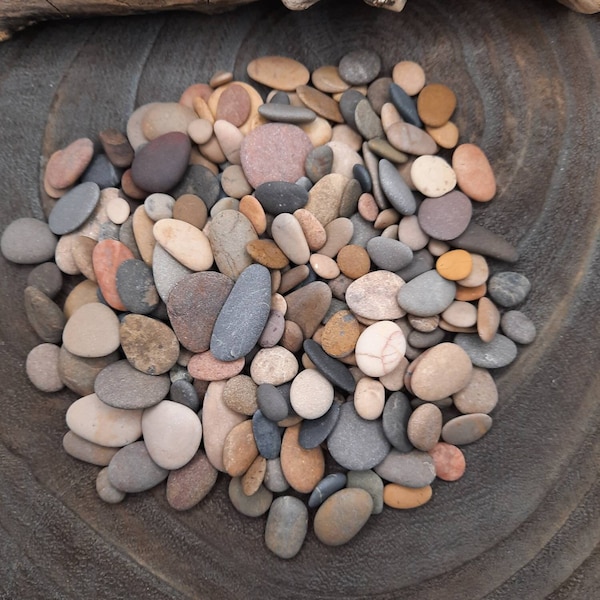 Bulk of 200 Tiny Pebbles, Flat & Colorful Genuine Beach Stones, Small to Tiny Size, Craft Supply, Pebble Art, Beach Decor