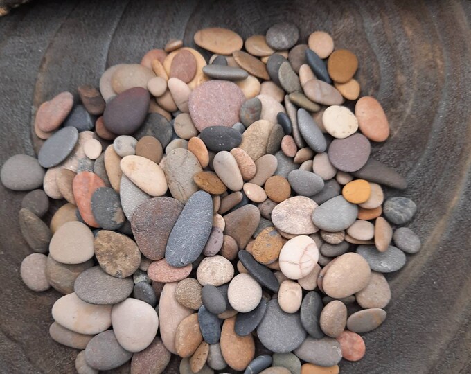 Bulk of 200 Tiny Pebbles Flat & Colorful Genuine Beach Etsy