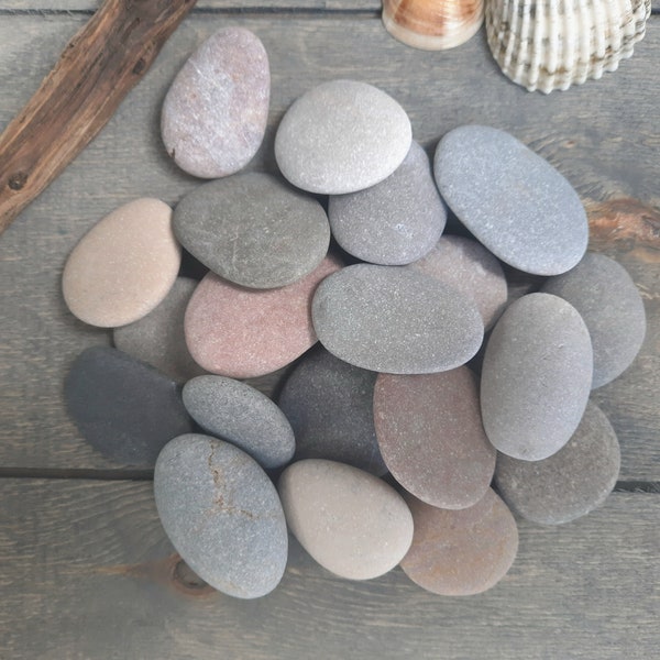 Bulk Large Pebbles, 20 Pieces, Smooth Genuine Beach Stones 1,3" - 1,8", Craft Supply, Pebble Art, Rock Painting, Beach Theme Decor