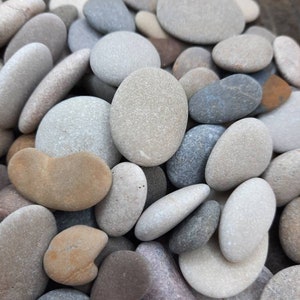 Bulk of 100 Pebbles, Flat & Colorful Genuine Beach Stones, Medium to Small Size, Craft Supply, Pebble Art, Beach Decor image 4