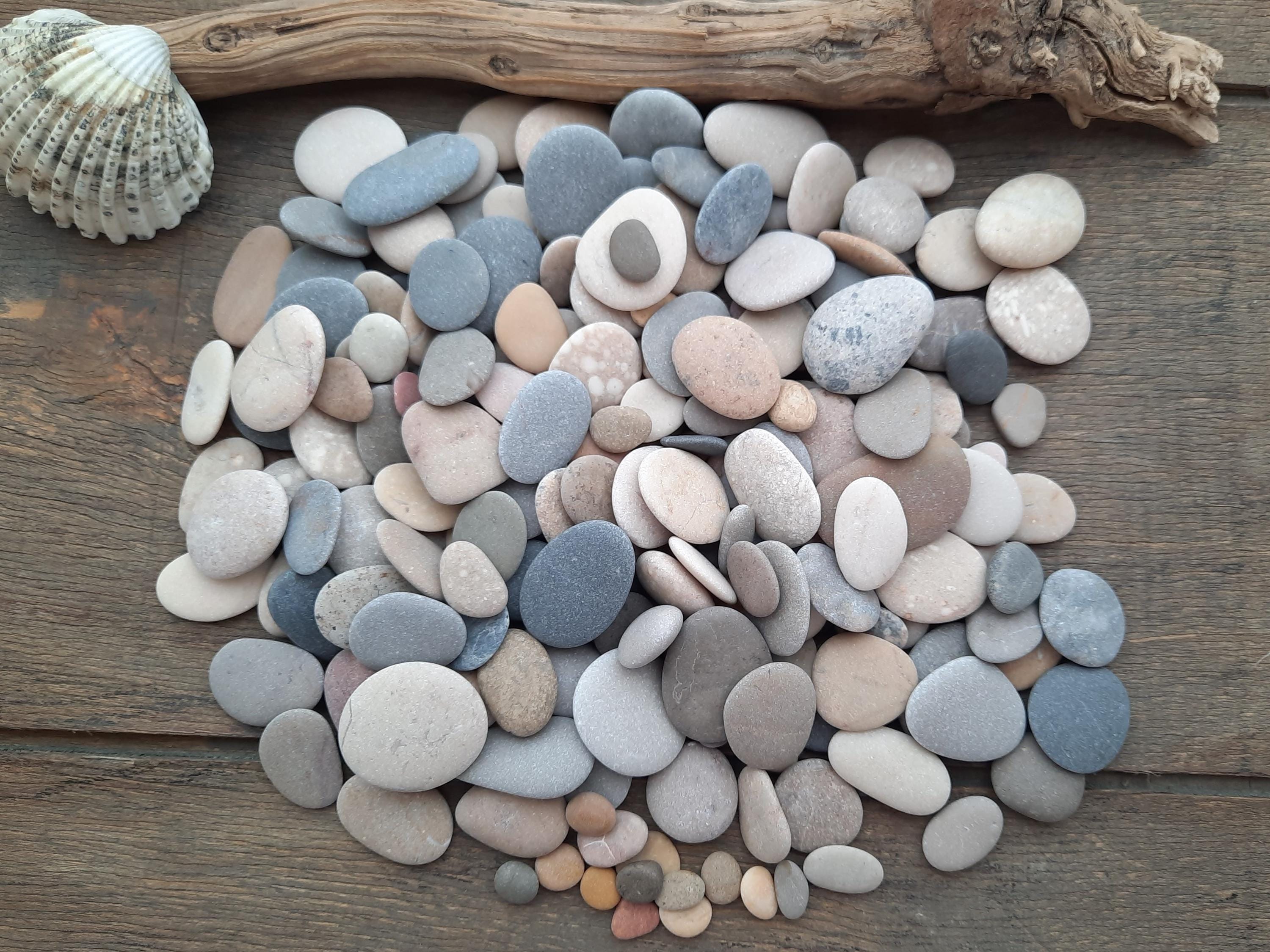 20 Piedras Planas Para Pintar - 6-11 Cm, Ideales Para Manualidades Y Decoración