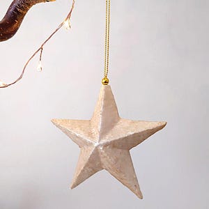 Può includere: Un ornamento a forma di stella di carta bianca con uno spago dorato appeso a un ramo. La stella ha una superficie testurizzata e stropicciata.