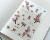 Transparent Vivid Floral Stickers -Sakura Kawaii Planner Stickers Vinyl Stickers Bullet Journal, Die cuts, Scrapbooking, Cute Sticker pack