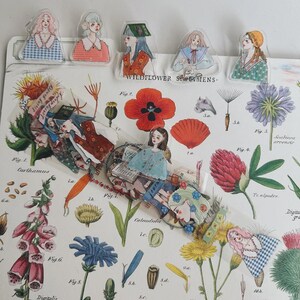 May include: A selection of decorative stickers and bookmarks with illustrations of women and botanical designs. The stickers and bookmarks are transparent and layered over a vintage botanical print with the text "WILDFLOWER SPECIMENS".