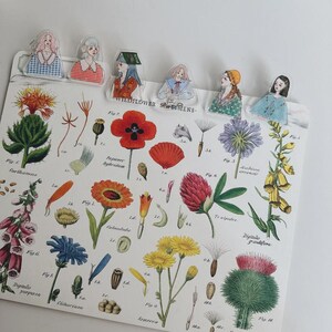 May include: A botanical print with detailed illustrations of wildflowers, accompanied by clear plastic bookmarks shaped like women in vintage attire. The text "WILDFLOWER SPECIMENS" is displayed on the print.