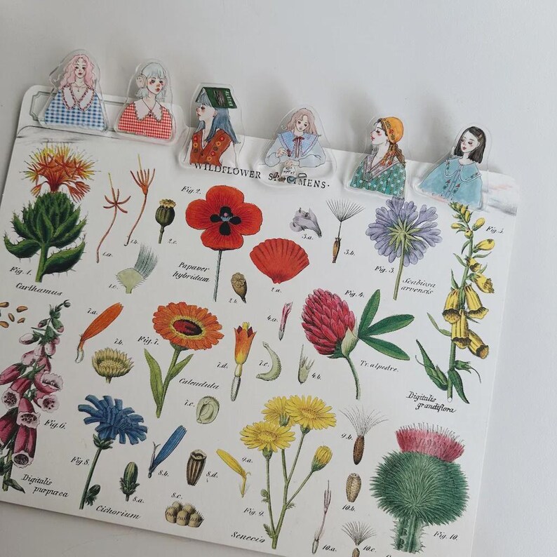 May include: A botanical print with detailed illustrations of wildflowers, accompanied by clear plastic bookmarks shaped like women in vintage attire. The text "WILDFLOWER SPECIMENS" is displayed on the print.