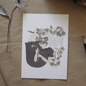 Postal Misshoegg - Dia Suave