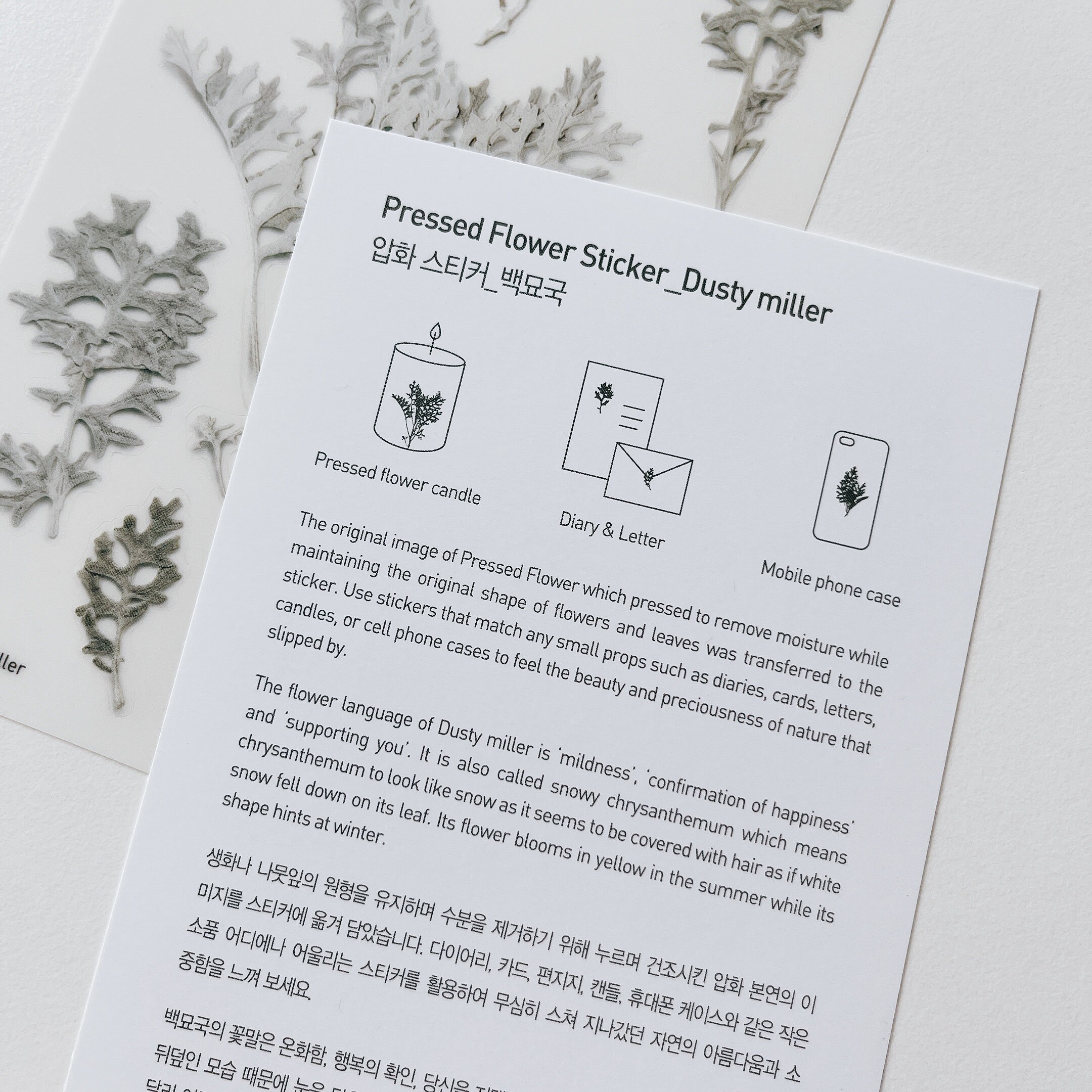 Freckles Tea Vol. 3 Floral Silver Foil Tracing Paper Pad