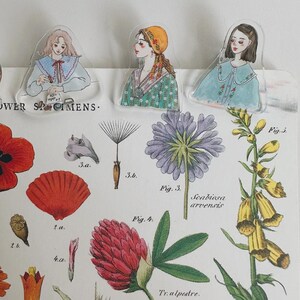 May include: Three clear acrylic bookmarks with illustrations of women in vintage attire. They are positioned over a botanical print with the text "FLOWER SPECIMENS" and various plant diagrams.