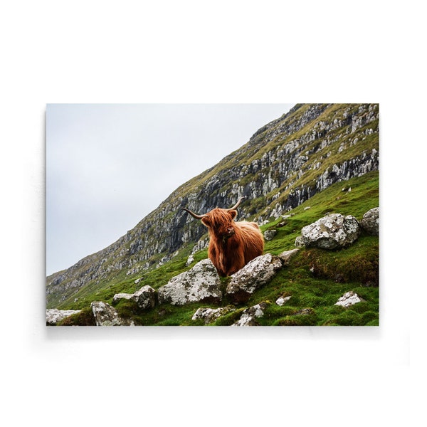 Walljar - Bruine Stier - Poster/Tela/Plexiglas