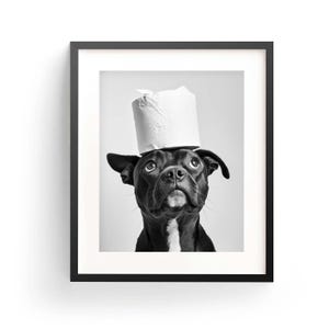 Staffordshire Bull Terrier con carta igienica Staffordshire Wall Art Cane Regalo Stampabile Staffordshire Vasca da bagno Adorabile decorazione artistica con animali