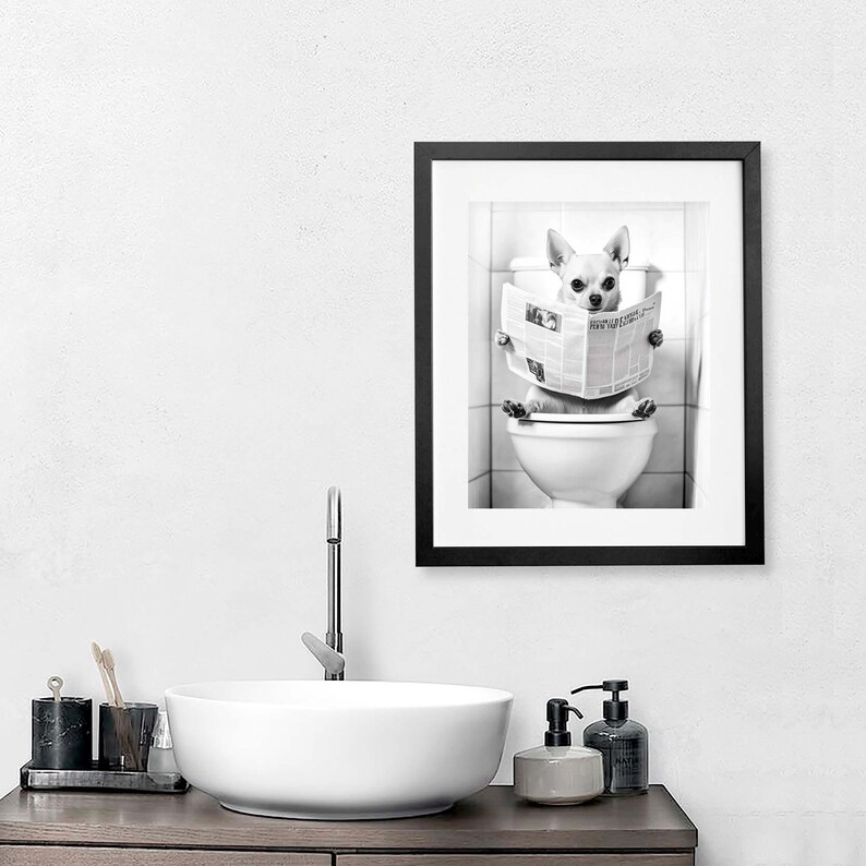 May include: Black and white photo of a chihuahua sitting on a toilet and reading a newspaper. The photo is framed in a black frame.