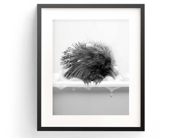 Porcupine Wall Art Adorable Porcupine Porcupine Bathtub Printable Wall Art Porcupine Art Print Bathroom Art Print Porcupine In Tub Nursery