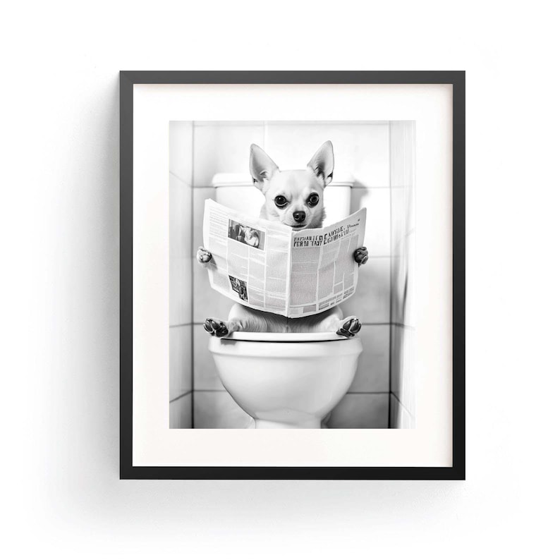 May include: A black and white photo of a small dog sitting on a toilet and reading a newspaper. The dog is wearing a collar and has a serious expression on its face.