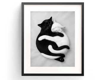 Yin Yang Katzen Art Print, schwarz weiss Tier Umarmung (Digitaler Download)