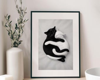 Yin Yang Cats Art Print, Black White Monochrome Animal Hug (Digital Download)