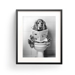 Könnte beinhalten: Ein Schwarzweißfoto eines Hundes mit Brille, der auf einer Toilette sitzt und Zeitung liest.
