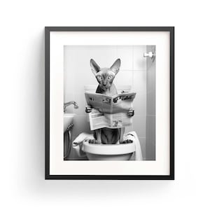 Puede incluir: Una foto en blanco y negro de un gato sin pelo sentado en un inodoro y leyendo un periódico.