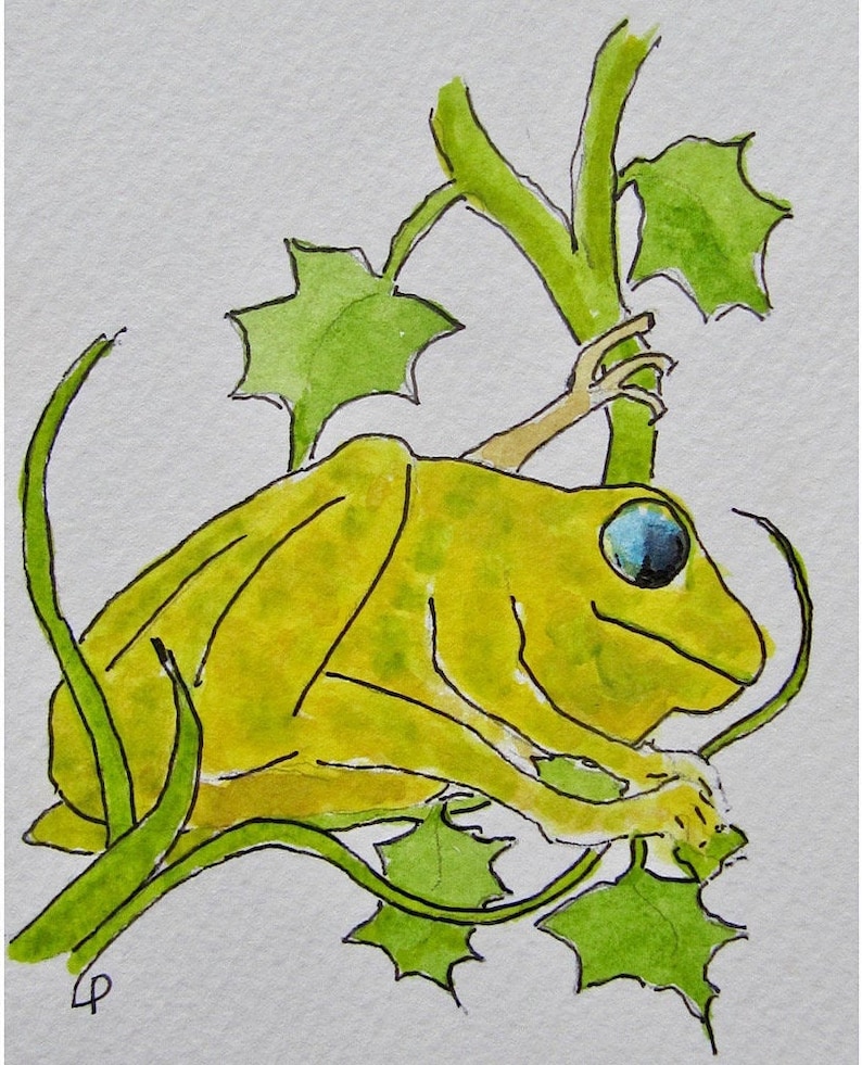 Wildlife theme. Original watercolour card of frog Original hand painted watercolour card of friendly frog Greetings card for any occasion
