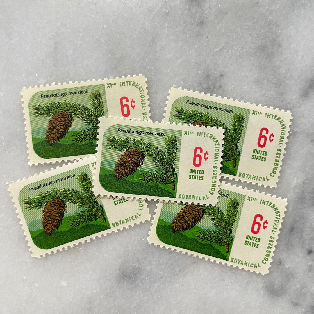 5x Vintage Unused Pine Tree Stamps / Botanical USPS Postage / 6 Cents ...