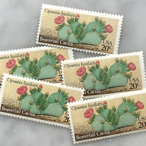 Sellos antiguos sin usar de cactus del desierto / Cactus cola de castor verde Franqueo de USPS / 20 centavos de dólar estadounidense