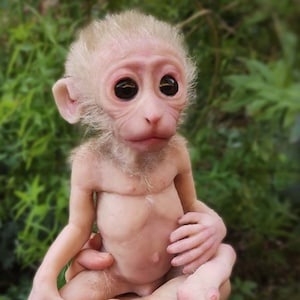 Baby Monkey Macaque Full Silicone Doll 10 inches -MADE TO ORDER