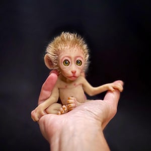 Könnte beinhalten: Eine kleine, lebensechte Affenpuppe mit hellbraunem Fell und großen, ausdrucksstarken grünen Augen. Die Puppe sitzt in einer Hand und zeigt ihre detaillierten Merkmale und realistischen Hauttöne vor dunklem Hintergrund.