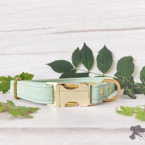 Mint Green // Handmade Eco-friendly Cork Leather Dog Collar