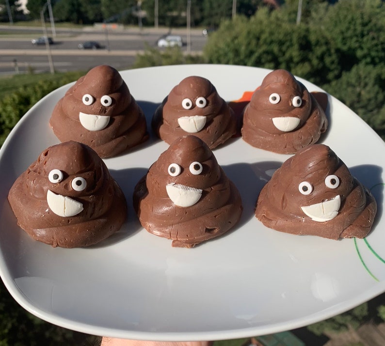 Milk Chocolate Poop Fudge Etsy