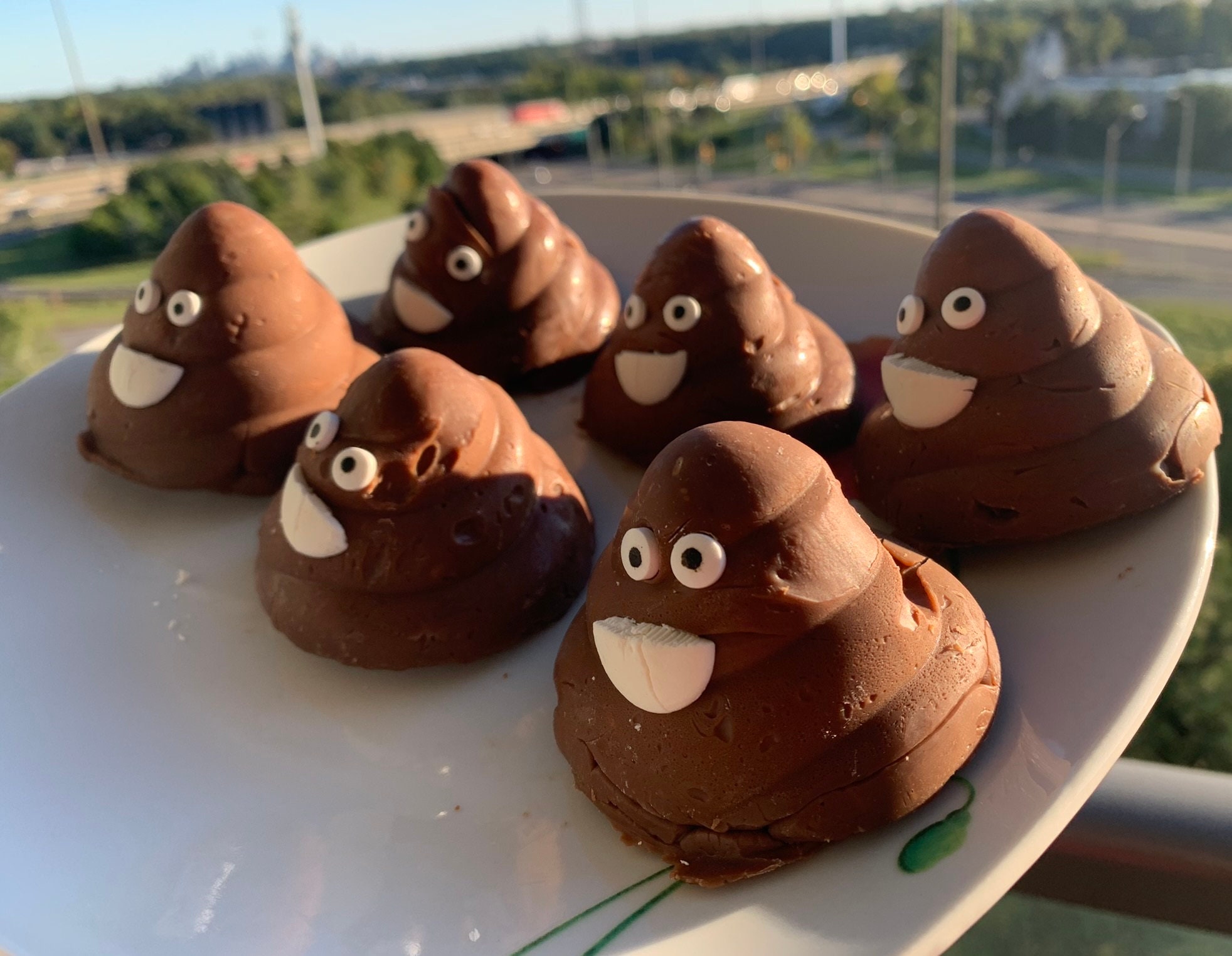 Chocolate Poop Fudge Etsy