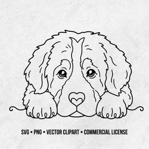 Op de afbeelding: Een zwart-witte lijntekening van een Berner Sennenhond puppygezicht met een hartvormige neus, rustend met de poten op een horizontale lijn. De tekst eronder luidt SVG PNG VECTOR CLIPART COMMERCIAL LICENSE.
