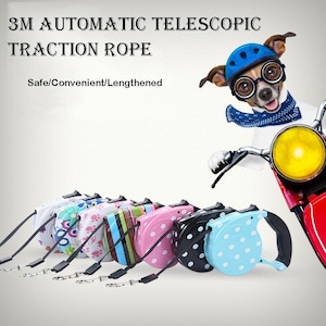 Stylish Cute Retractable Dog Walking Leash / 16ft Cord / Smooth, No-Slip Handle / Sturdy Nylon Cord image 1