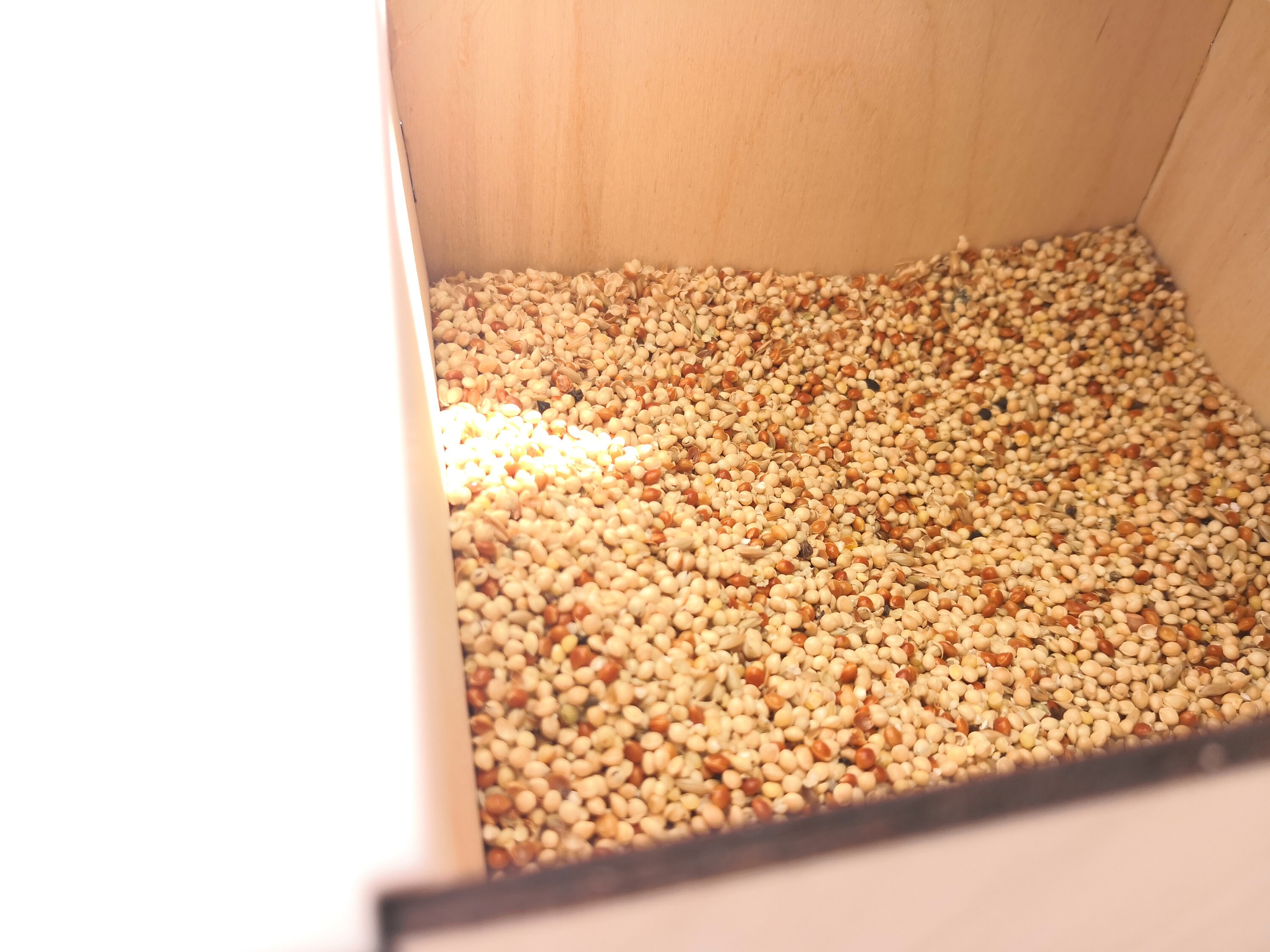 Bird Seed Cleaning Machine / Husk Remover / Winnower 1 Year