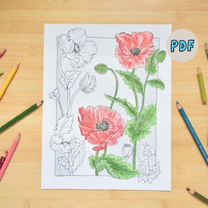 Op de afbeelding: Een printbare kleurplaat met een gedetailleerde illustratie van papavers. De pagina is klaar om te kleuren met kleurpotloden, stiften of kleurpotloden. De afbeelding bevat een PDF-label in de rechterbovenhoek.
